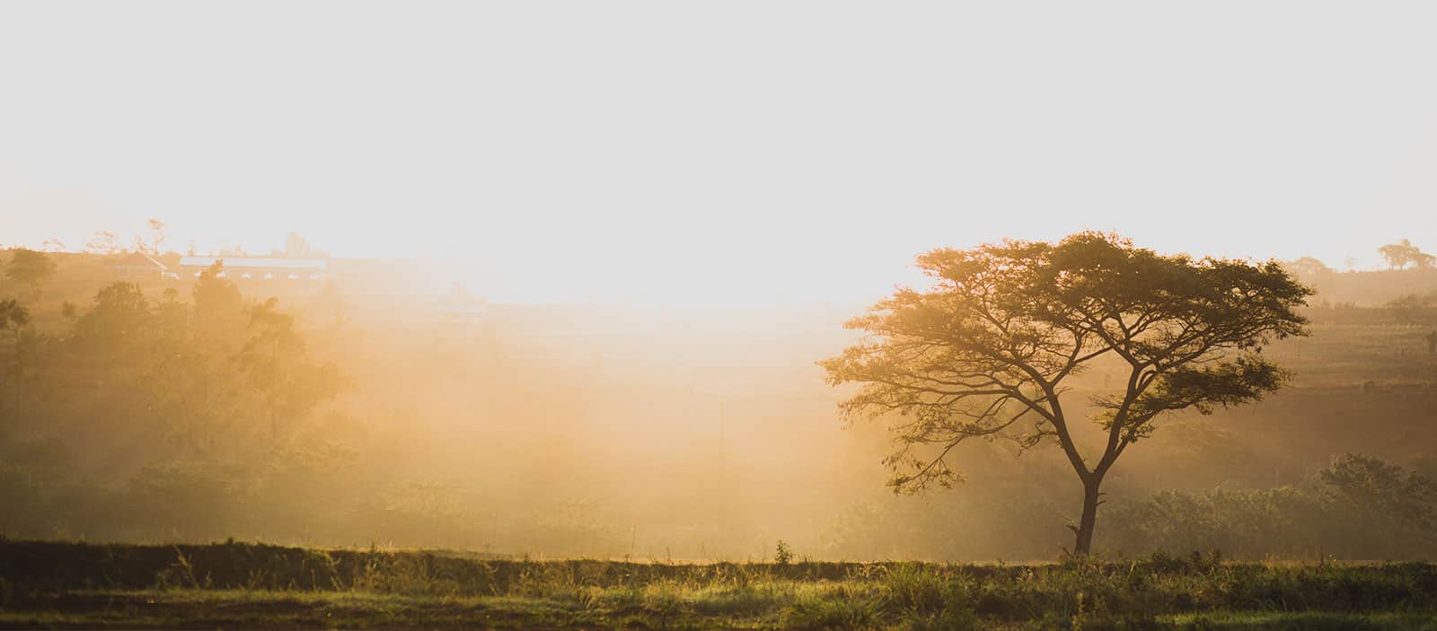 A Word from the Rock: Weekly Devotions from The Amazima School